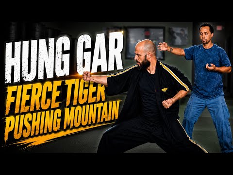 💥 Hung Gar: Fierce Tiger Pushing Mountain #FightTechniques