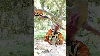 Download lagu baaghi video tiger #photoshooot mp3