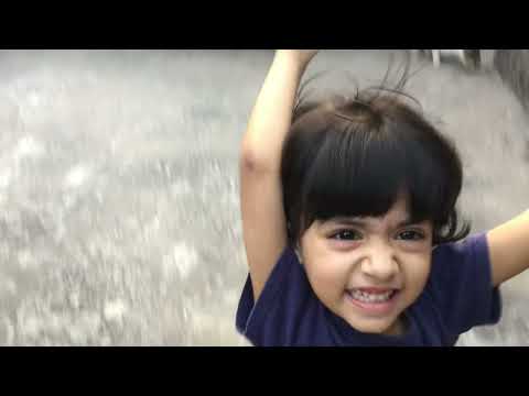 Cats enjoying lunch with her little babies.