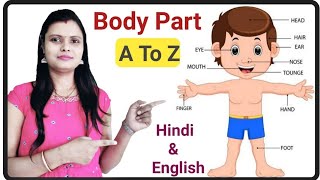 Body Parts Name Hindi and English  शरीर �