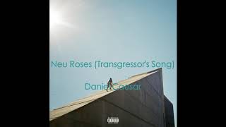Neu Roses - Transgressor&#39;s Song. (Sub Español &amp; English). Daniel Caesar
