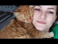 Woman Rescued A Kitten On The Street And You Won T Believe How He Thanks His Savior