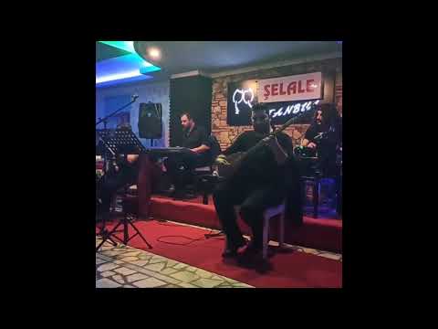 ERİK DALI ( KISA GEÇİŞ )