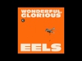 Eels - "Kinda Fuzzy" from Wonderful Glorious