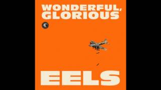 Eels - "Kinda Fuzzy" from Wonderful Glorious