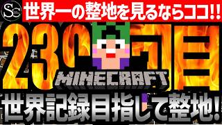 【🔴Minecraft】目指せ世界記録！整地ノルマ達成するまで今夜も眠れない‼️～239回目～