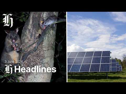 Thumbnail for NZ Herald Afternoon Headlines | Wednesday, June 3, 2026