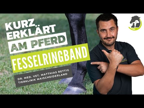 FESSELRINGBAND - Wann es zu Problemen führen kann! Kurz erklärt am Pferd!