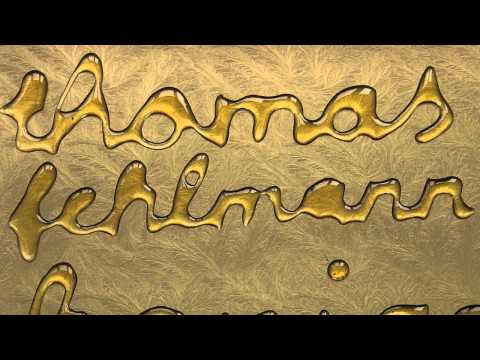 Thomas Fehlmann - Strahlensatz 'Honigpumpe' Album