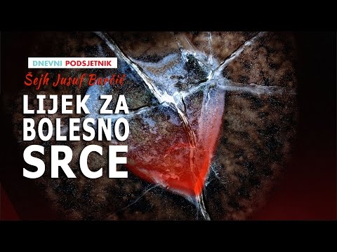 Lijek za bolesno srce ᴴᴰ┇Šejh Jusuf Barčić rahimehullah┇Dnevni podsjetnik