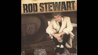 ROD STEWART - IN MY OWN CRAZY WAY - vinyl