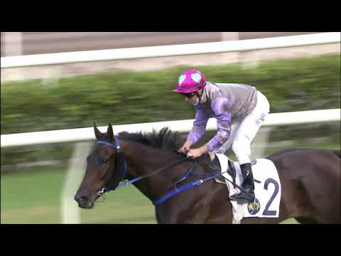 17/10/2021 (102) My Sugar - Z Purton