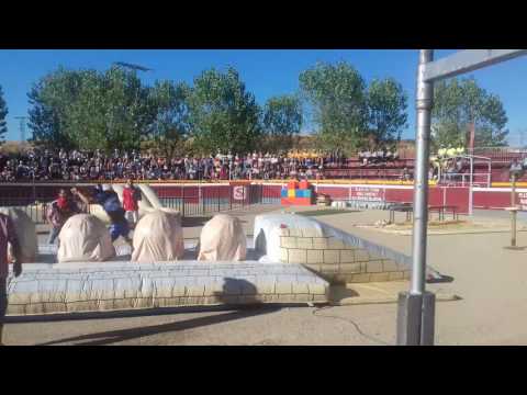 Calera gran prix 2016 II