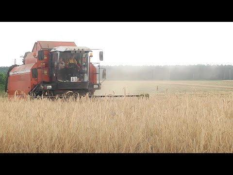 Уборочная кампания набирает обороты видео