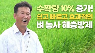 효과만점 벼 농사 항공방제 수확량 10% 증가 비결을 공개합니다