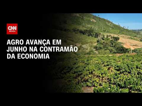 Agronegócio avança em junho na contramão do restante da economia | CNN AGRO NEWS
