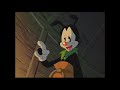 Animaniacs El Deseo De Wakko La Historia De Dot HD Español Latino