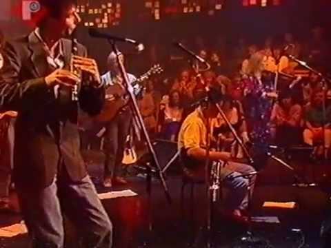 Traditional Irish reels 1 : Donal Lunny Band