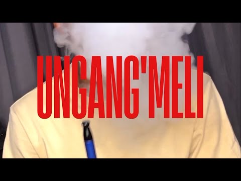 Neez · Ungang'meli (feat. McLayla) [Visualizer]