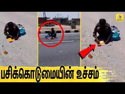 இறந்த நாயின் இறைச்சியை சாப்பிடும் அவலம்  | Hungry man eating Dogs Flesh | VIRAL VIDEO