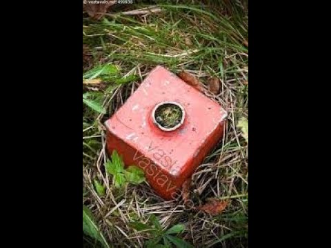 Metsolan Metsäkoulu 112 - Rajapyykki hukassa?