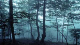 Platicamos tanto - Duelo (en vivo)