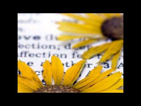Mensagem Esquecida - César Tucci