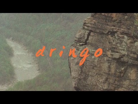 dringo 2025