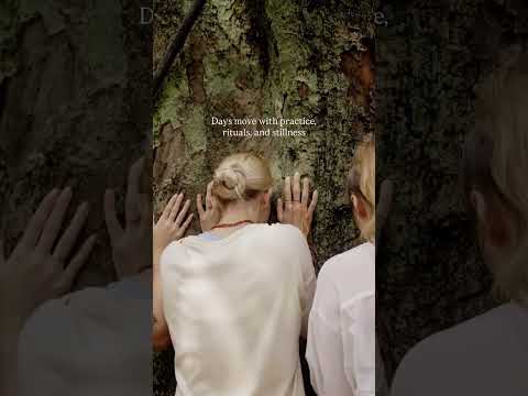 Yoga in The Himalayas is More Than a Practice | House of Om India