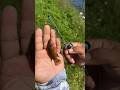 Tiny Rod Catches Tiny Fish