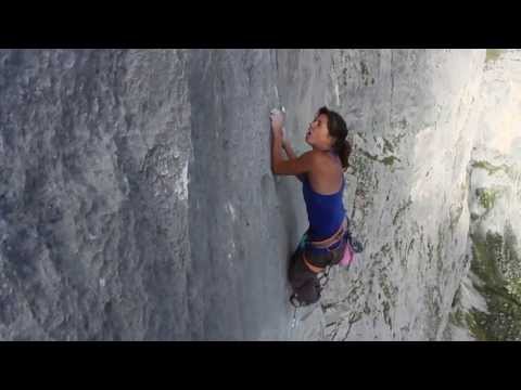 Silbergeier Ausschnitt