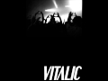 Vitalic - Terminateur Benelux  ( HQ )