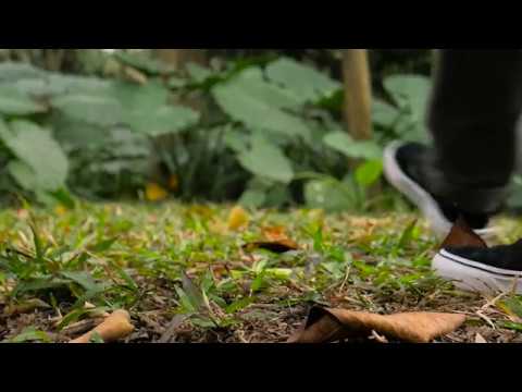 UMIDIGI Z PRO Hands on