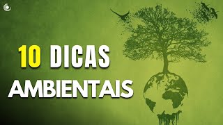 Dia do Meio Ambiente | Conheça 10 melhore atitudes que ajudam a reduzir o impacto ambiental