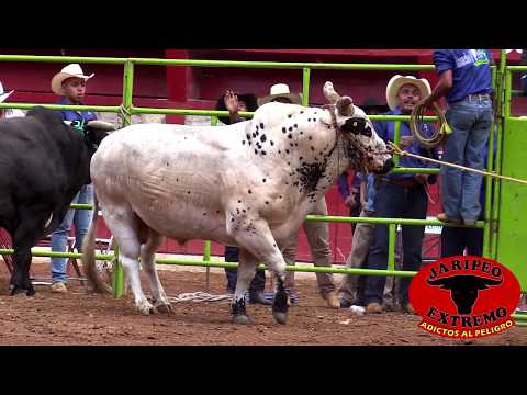 RANCHO EL TREBOL En La Monumental de Morelia