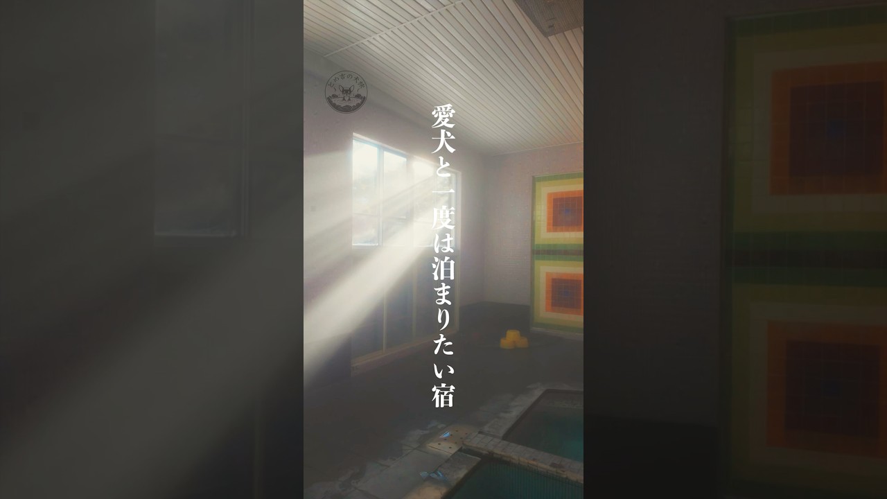 【糠平温泉ホテル｜北海道上士幌】知る人ぞ知る穴場宿に愛犬と宿泊！美肌の湯に山の幸にのお料理に、愛犬とずっと一緒に過ごせる