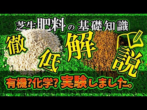 秋に芝生肥料を与える時期