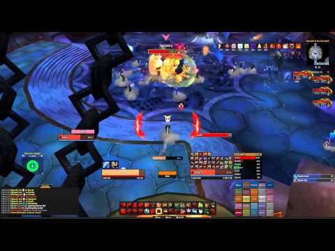 Ninjapartio vs Ascendant Council