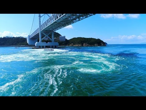 【阿波ナビ】はやわかり動画