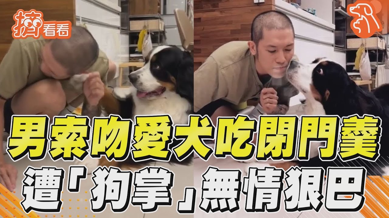 影音/男索吻愛犬吃閉門羹 遭「狗掌」無情狠巴