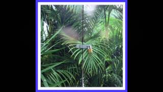 Joe Howe - Pepperoni E. Lee (feat. Oorutaichi)