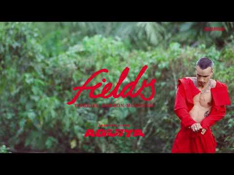 Video thumbnail for Fields