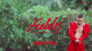Fields Music Video