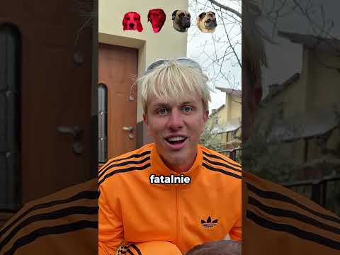 Który Pies Wytrzyma Najdłużej Bez Zjedzenia🦮🔥