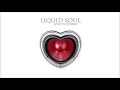 Liquid Soul Love In Stereo Full Album