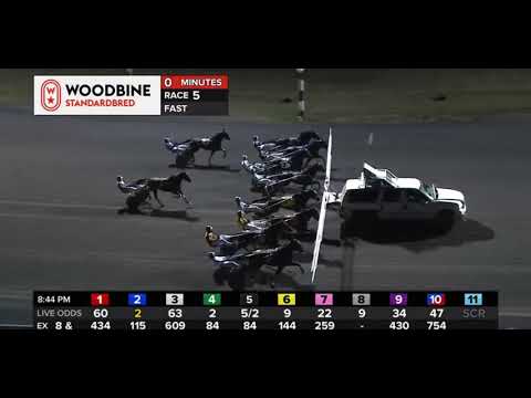 Woodbine Racetrack -PURSE $141,518 SBOA STAKES Final Nov 14th , 2020