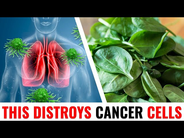 Zioła o których warto pamiętać 