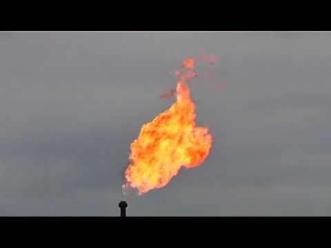 MARINZA E FIERIT REPORTAZH ABC NEWS