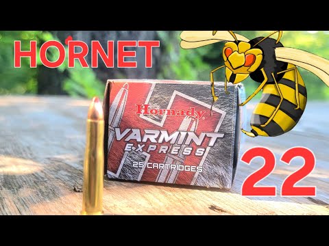 Introduction \u0026 Test Parameters