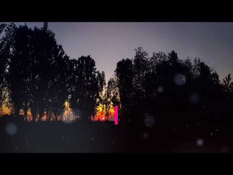 Sarob Guruhi - Bitta sabab (#premyera 2020)